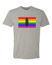 Load image into Gallery viewer, Northwest Vibes Cascadia Rainbow Tee Grey