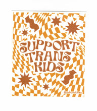 Load image into Gallery viewer, Ash Chess Support Trans Kids Sticker