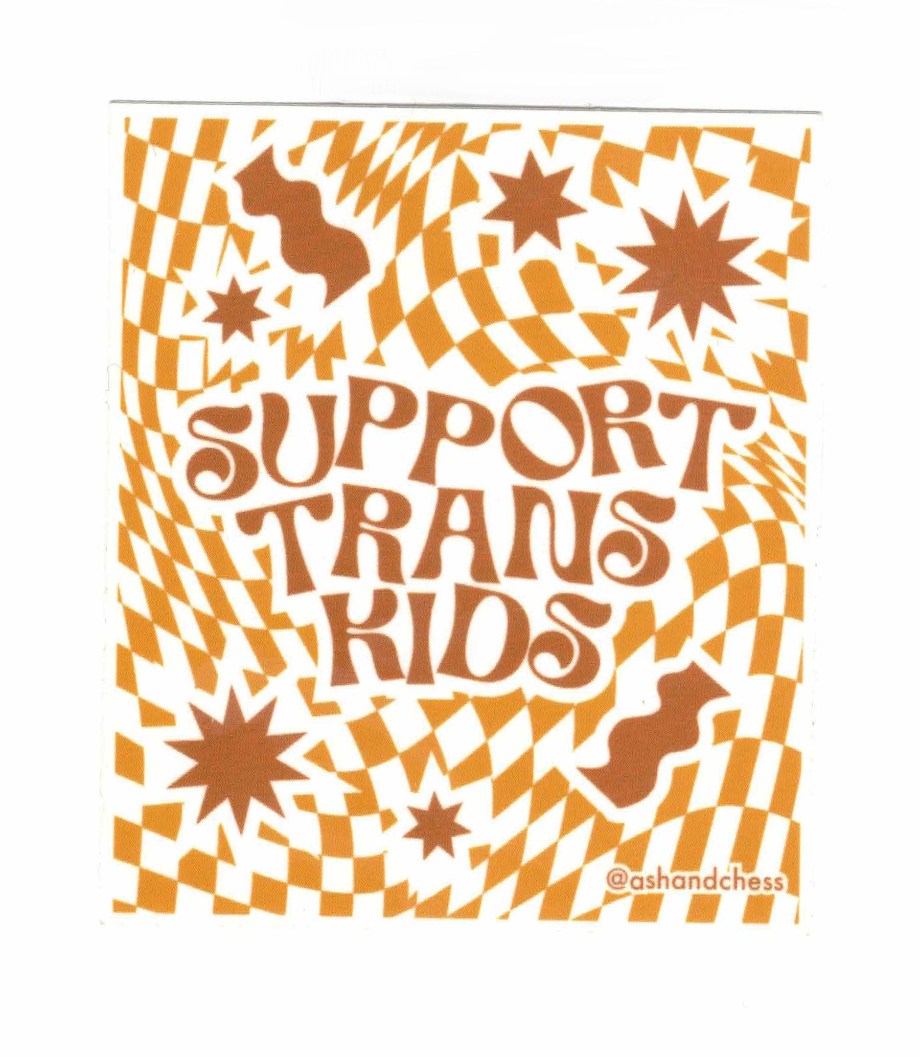 Ash Chess Support Trans Kids Sticker